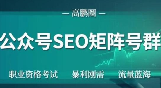 高鹏圈·公众号SEO矩阵号群项目，实操20天纯收益25000