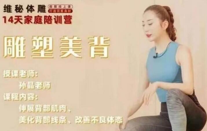 孙晶维密体雕课程_孙晶14天腰腹塑形体雕陪训营(带笔记)