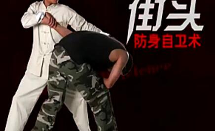 防身术视频教学视频_实战防身自卫技巧17集