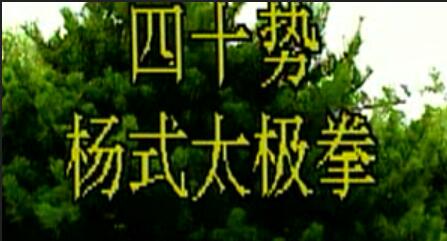 杨式四十式太极拳（百度云高清）