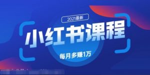 九京商学院小红书课程，如何利用小红书快速获取客源，每月多赚1万！