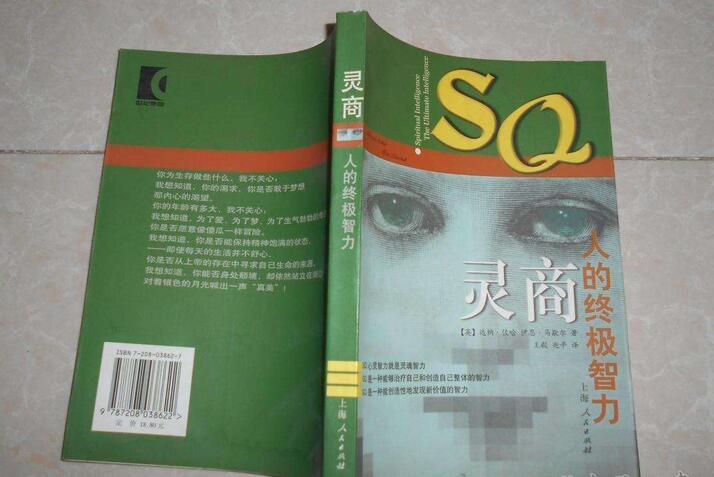 灵商·人的终极智力PDF（百度网盘）