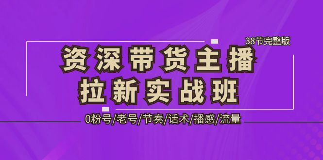 图片[1]-资深·带货主播拉新实战班，0粉号/老号/节奏/话术/播感/流量-38节完整版-云上仙人