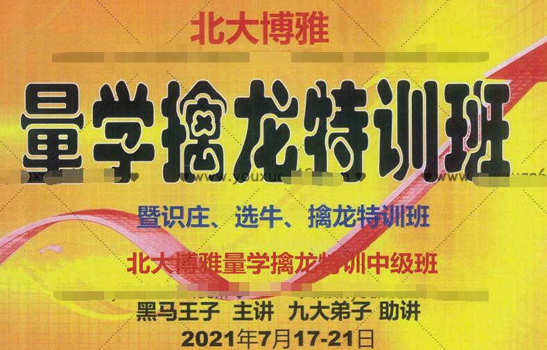 黑马王子·量学擒龙涨停中级特训班2021年7月(音频+讲义)