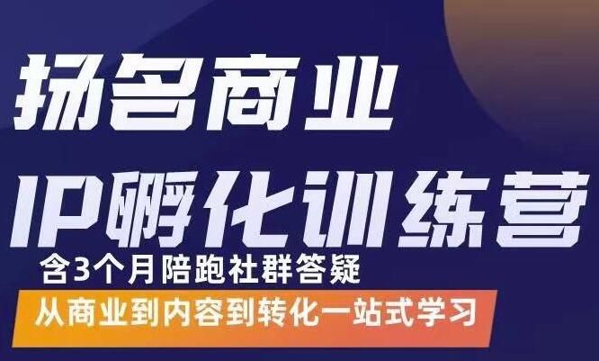 杨名商业IP孵化训练营（价值5980元）