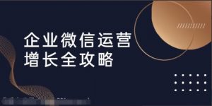 企业微信运营方案ppt，企业微信运营增长全攻略，引流 裂变 运营 成交（16节体系课）