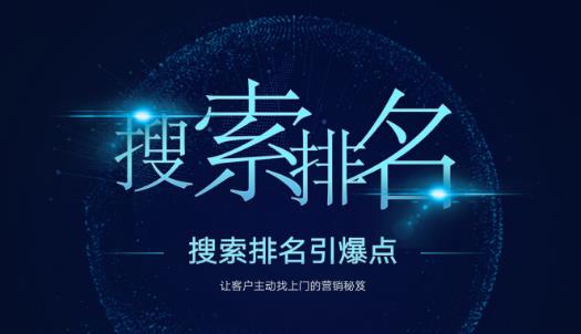 王通seo教程_教你快速掌握各个搜索引擎排名算法