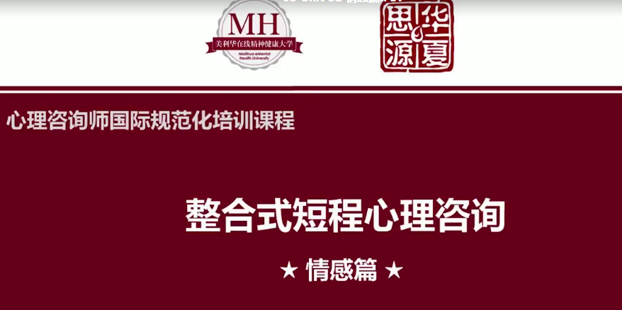 张道龙心理咨询师《国际规范化培训》_84个真实个案视频与解析