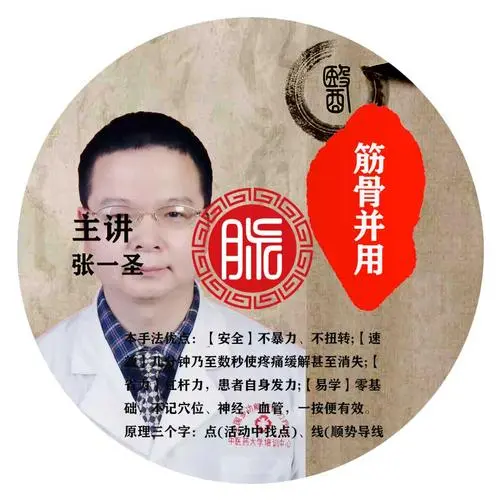 张一圣正骨全集_中医视频92G