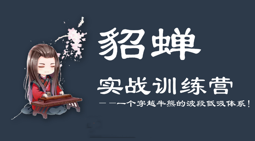 貂蝉论股：貂蝉波段训练营第5期教程