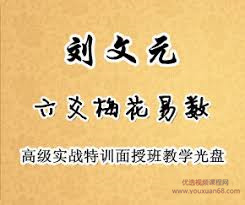 刘文元梅花六爻高级实战特训面授班（83集）