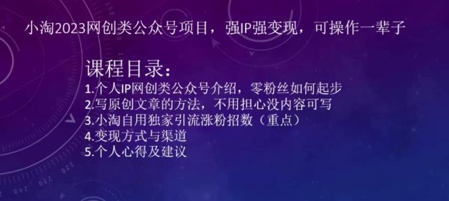 小淘2023网创类公众号项目,强IP强变现,可操作一辈子