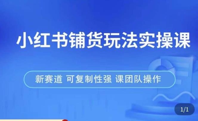 小红书铺货玩法实操课,流量大,竞争小,非常好做,新赛道,可复制性强,可团队操作