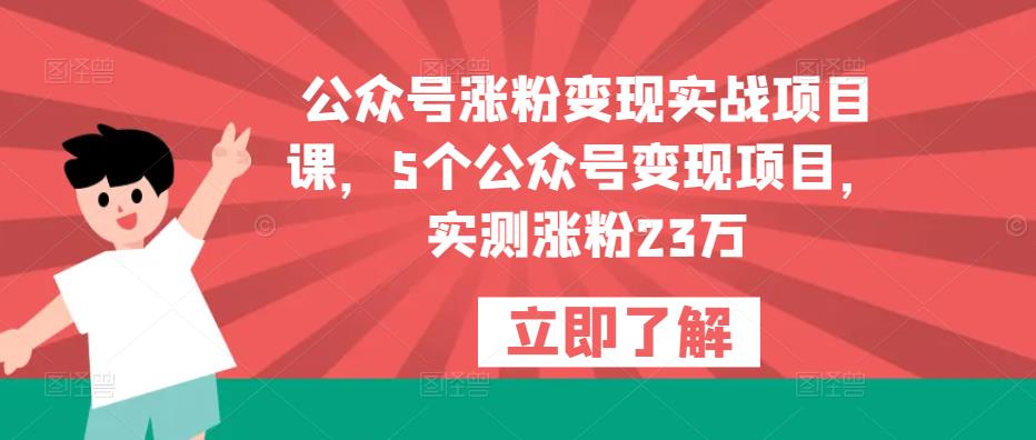 公众号涨粉变现实战项目课,5个公众号变现项目,实测涨粉23万