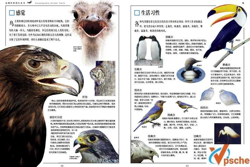 [教育资源]《动物世界百科全书上中下三卷合集》171页高清全彩图文版[PDF/52.6MB]百度云下载