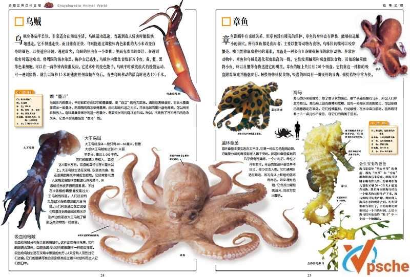 [教育资源]《动物世界百科全书上中下三卷合集》171页高清全彩图文版[PDF/52.6MB]百度云下载