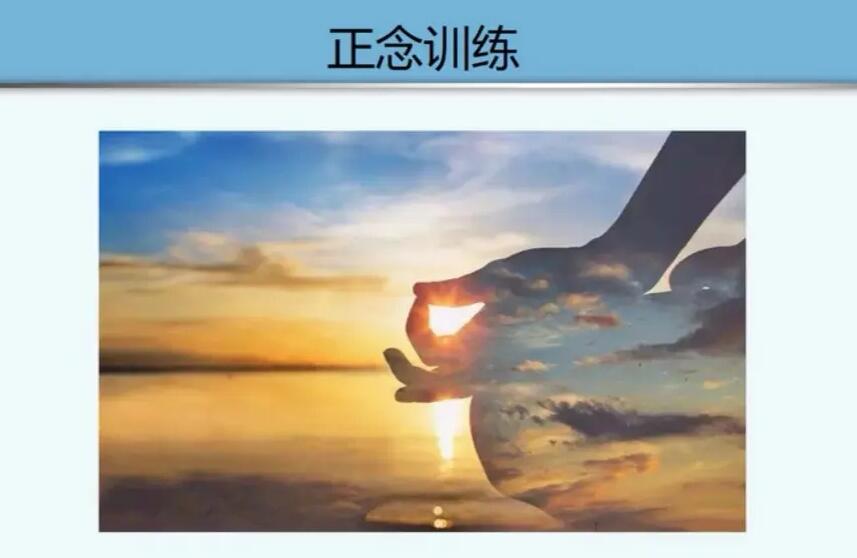 罗伯.费希尔咨询师自我成长一年正念训练课（胡婷婷配音）