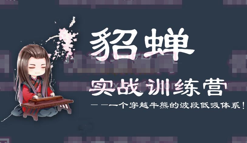 貂蝉论股·貂蝉波段训练营第7期（PDF）