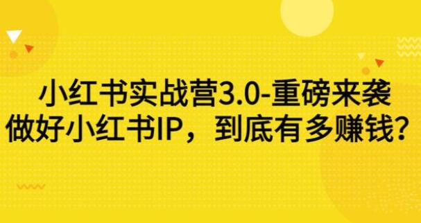 谢无敌·小红书提款机项目实战营3.0（价值7999元）