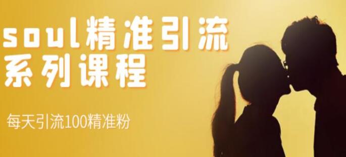 soul精准男粉引流系列课程（日产100精准粉）