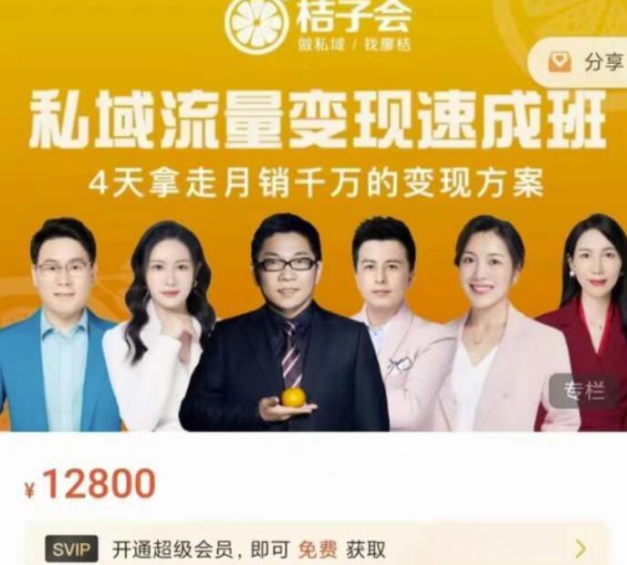 桔子会·私域流量月销千万变现速成班（价值12800元）