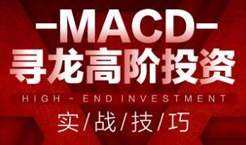 MACD寻龙高阶投资实战技巧（58视频）