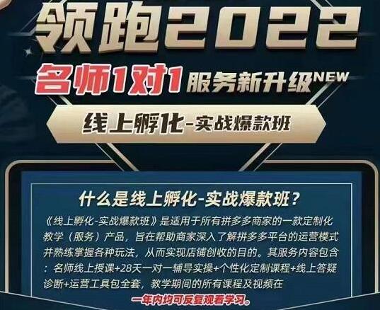 牛气学堂·老陶电商：拼多多线上孵化实战爆款班【第9期】