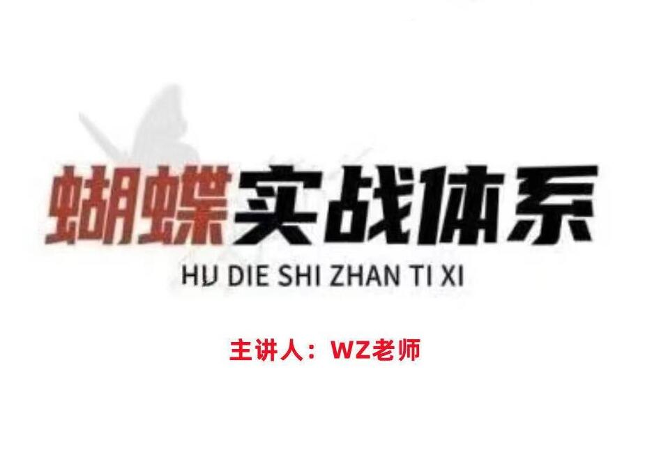 无为王志老师蝴蝶实战体系课程