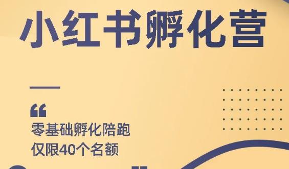 勇哥：怎么通过小红书赚钱？手把手教你快速起号每月躺赚在3000