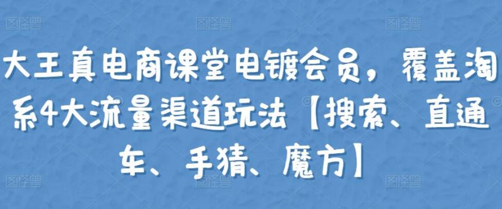 大王真电商课堂电镀会员营销课（搜索+直通车+手猜+魔方）