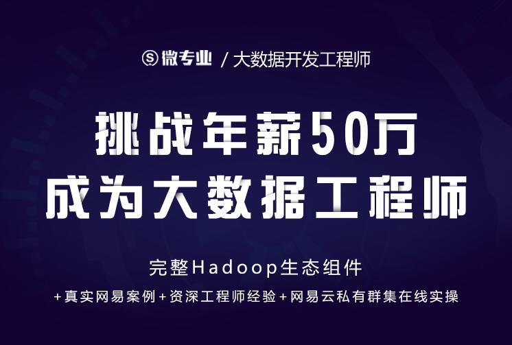网易云微专业·大数据开发工程师培训课（原价14500元）