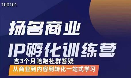 王扬名·抖音商业IP孵化课程