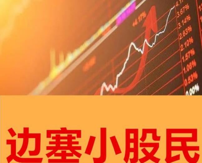 边塞小股民·边塞小股民价值成长公众号文章（2023年）