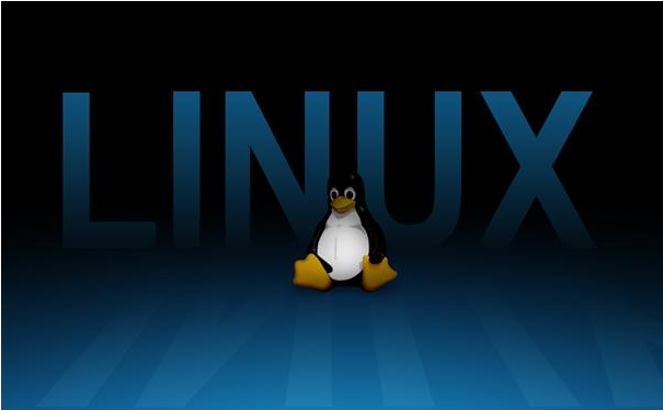 CTO带你从Linux基础实战到企业级实战部署 后期运维课程