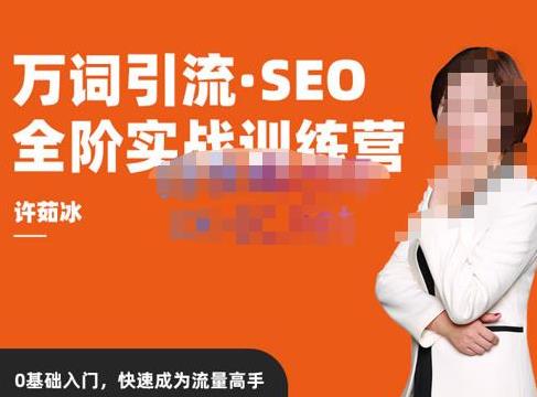 许茹冰·万词引流SEO全阶实战训练营