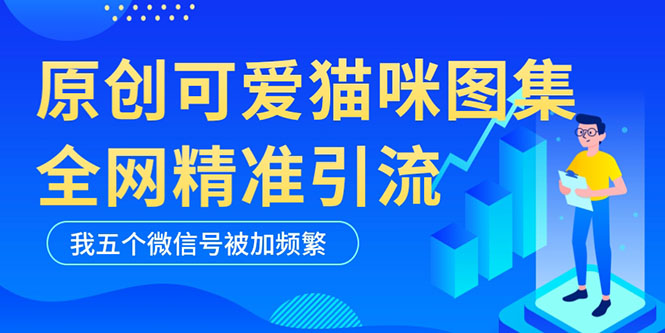 黑科技纯原创可爱猫咪图片，全网精准引流，实操5个VX号被加频繁