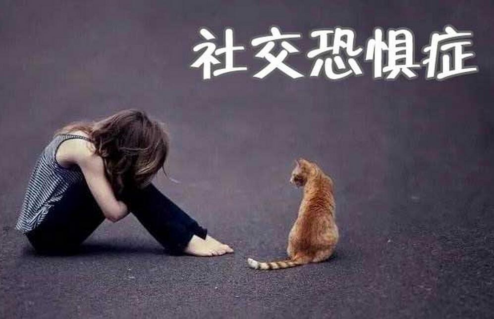 阿伦·3天社恐认知突破课，社恐患者必看
