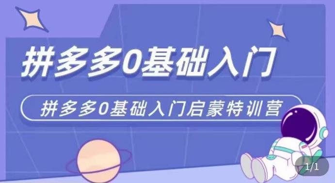 拼多多运营0-1实操特训营,拼多多0基础入门,从基础到进阶的可实操玩法