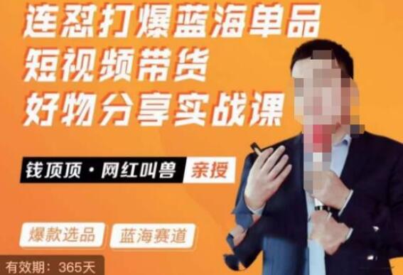 网红叫兽·短视频连怼打爆蓝海单品带货实战课