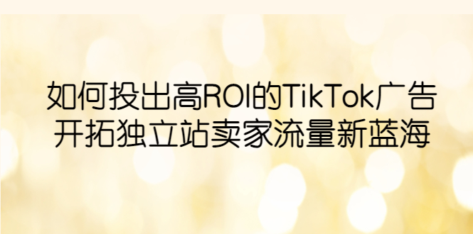 图片[1]-TikTok广告投放实战指南：开拓独立站卖家流量新蓝海，提升ROI-云上仙人