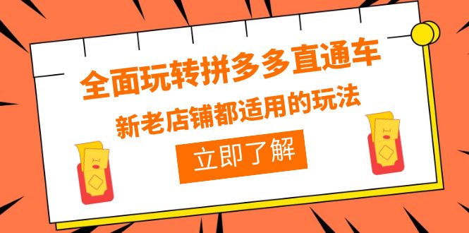 图片[1]-全面玩转拼多多直通车，新老店铺都适用的玩法（12节精华课）-云上仙人