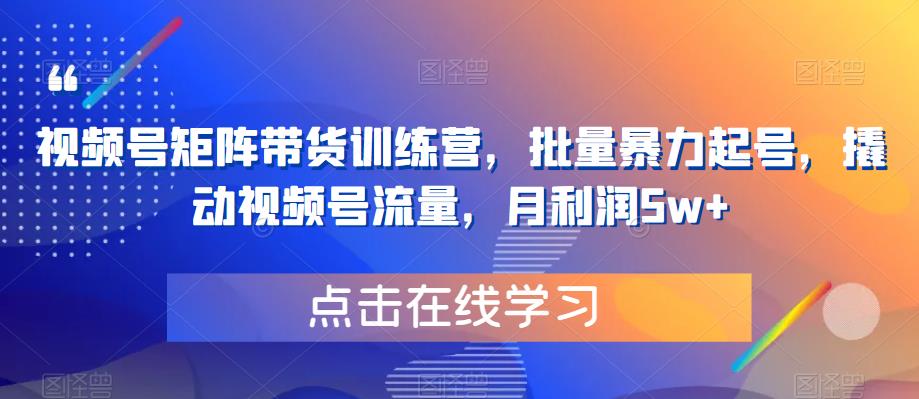 视频号矩阵带货训练营，批量暴力起号，撬动视频号流量，月利润5w 