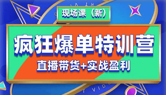 抖音短视频疯狂爆单特训营现场课(新)直播带货 实战案例