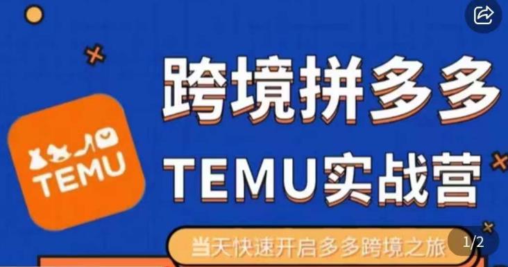 大鹏出海·拼多多跨境temu运营指导,开店注册 选品 核价上架,日出千单实战课