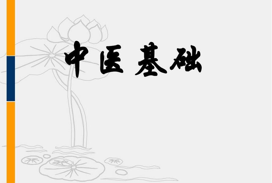 中医张正权中医基础课程