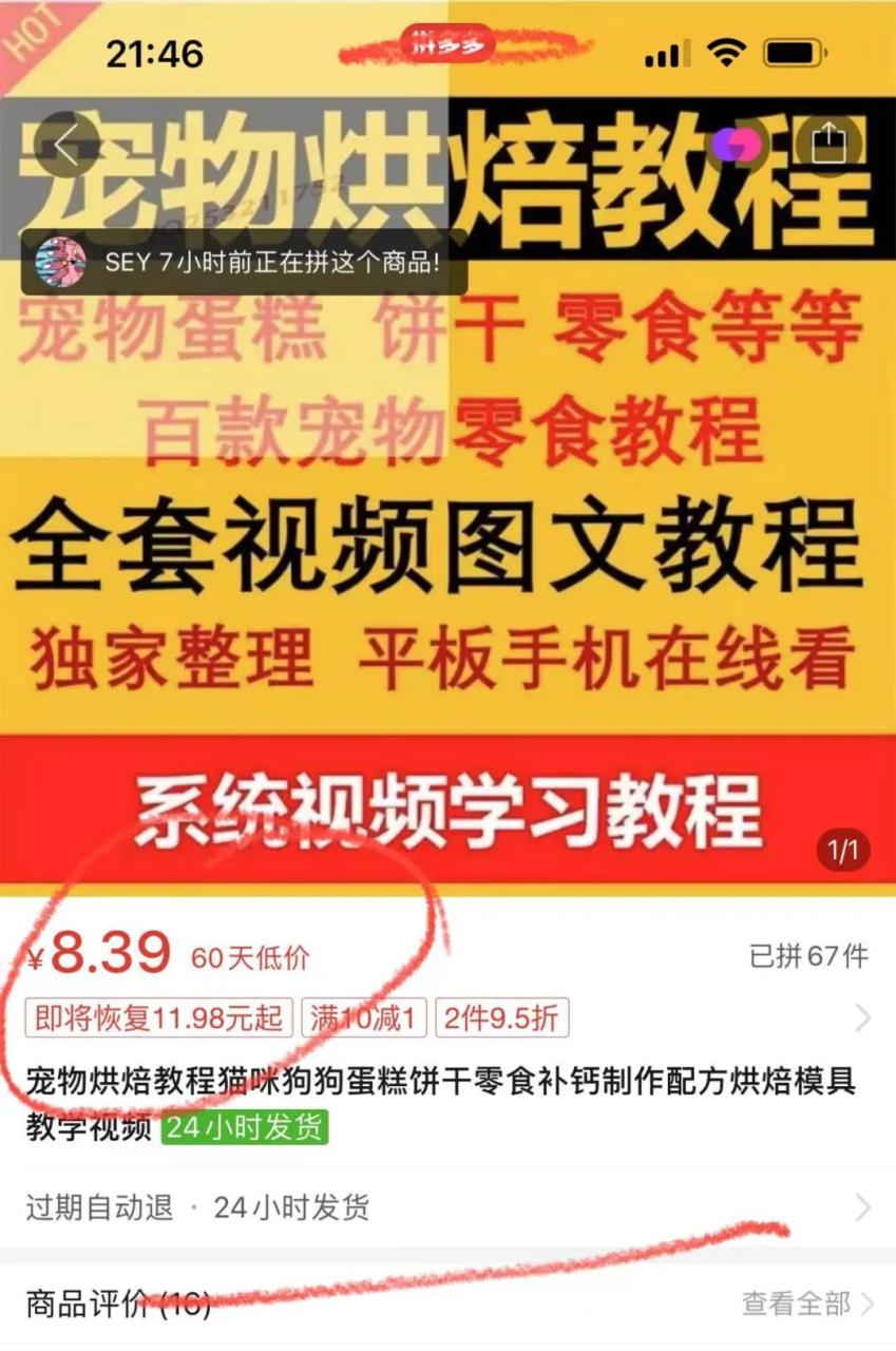 图片[3]-宠物烘焙师：轻松开启宠物店赚钱攻略，成本大揭秘-云上仙人