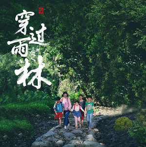 《穿过雨林 OST》电影原声带part.1[高品质MP3+无损FLAC/116MB]百度云网盘下载