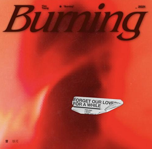 曾轶可《Burning》2021最新专辑[高品质MP3+无损FLAC/355MB]百度云网盘下载