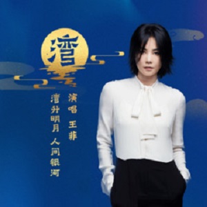 王菲《湾》最新单曲[高品质MP3+无损FLAC/29MB]百度云网盘下载