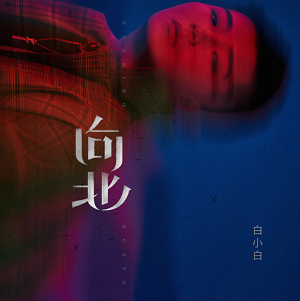 白小白《向北》2021最新EP专辑[高品质MP3+无损FLAC/127MB]百度云网盘下载